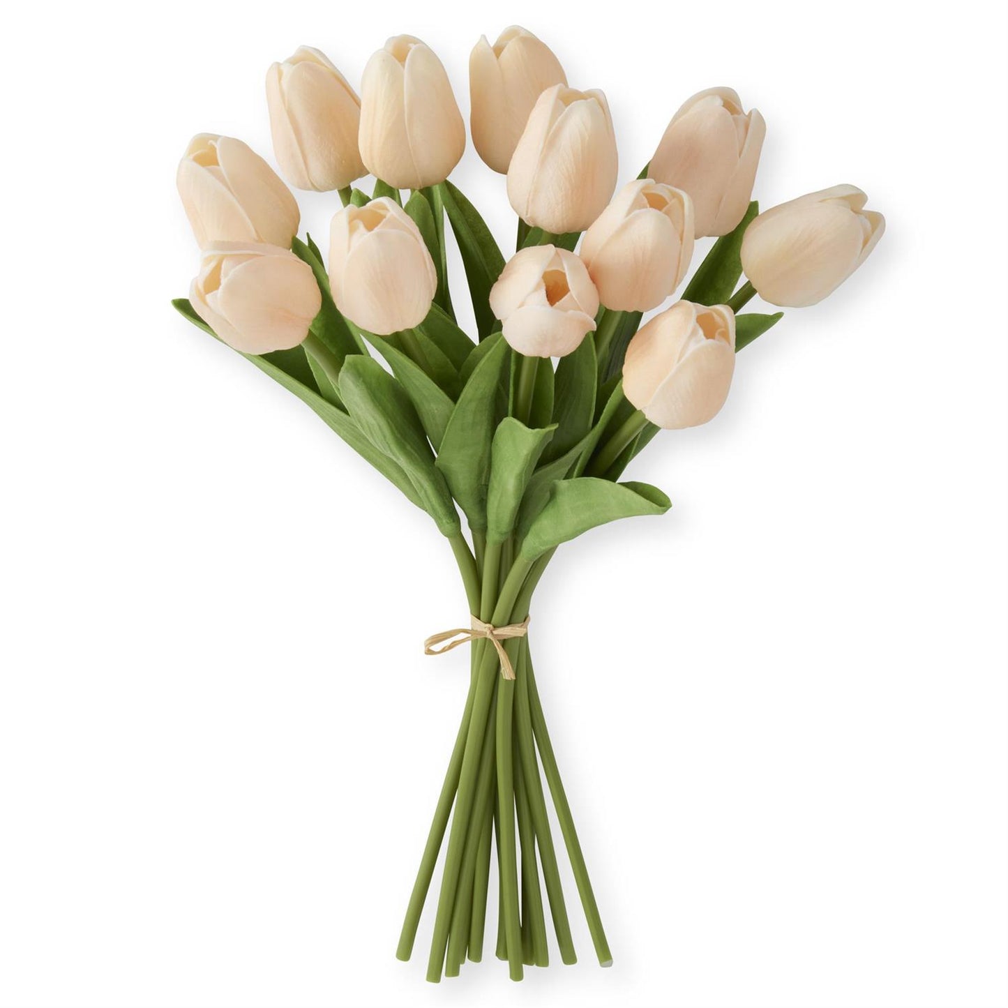 Light Peach Real Touch Tulip Dozen