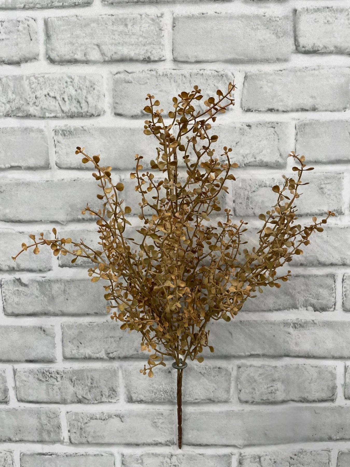 Fall Cream Baby Tears Bush-20"