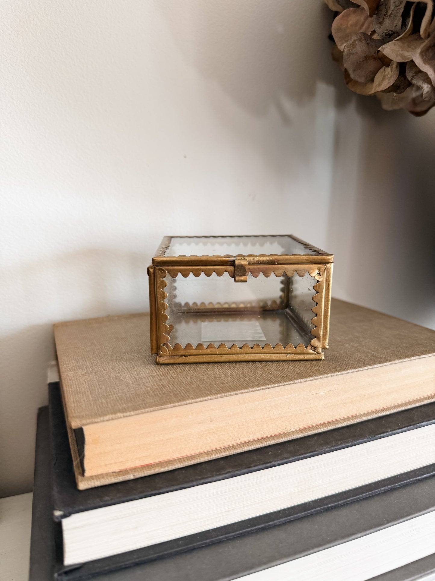 Mini Brass & Glass Scallop Display Box