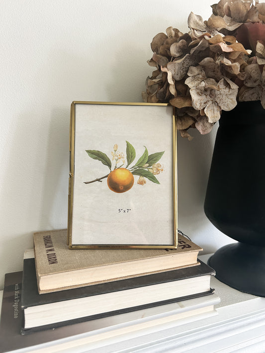 Brass 5 x 7" Photo Frame