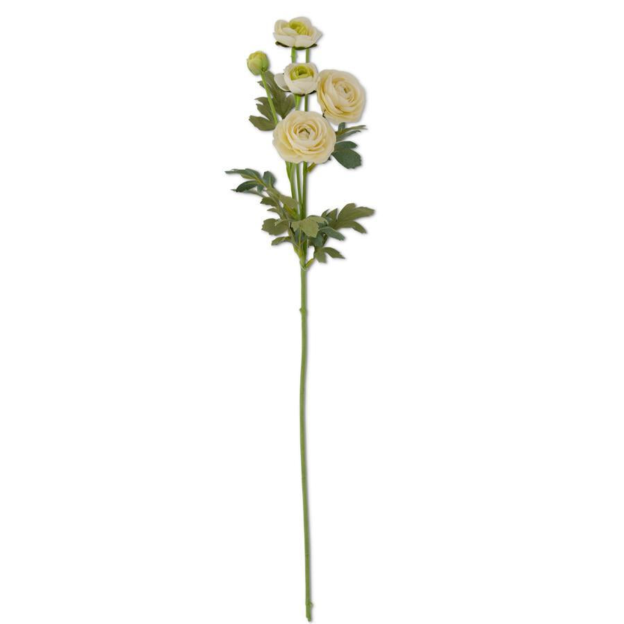 Cream Ranunculus Stem