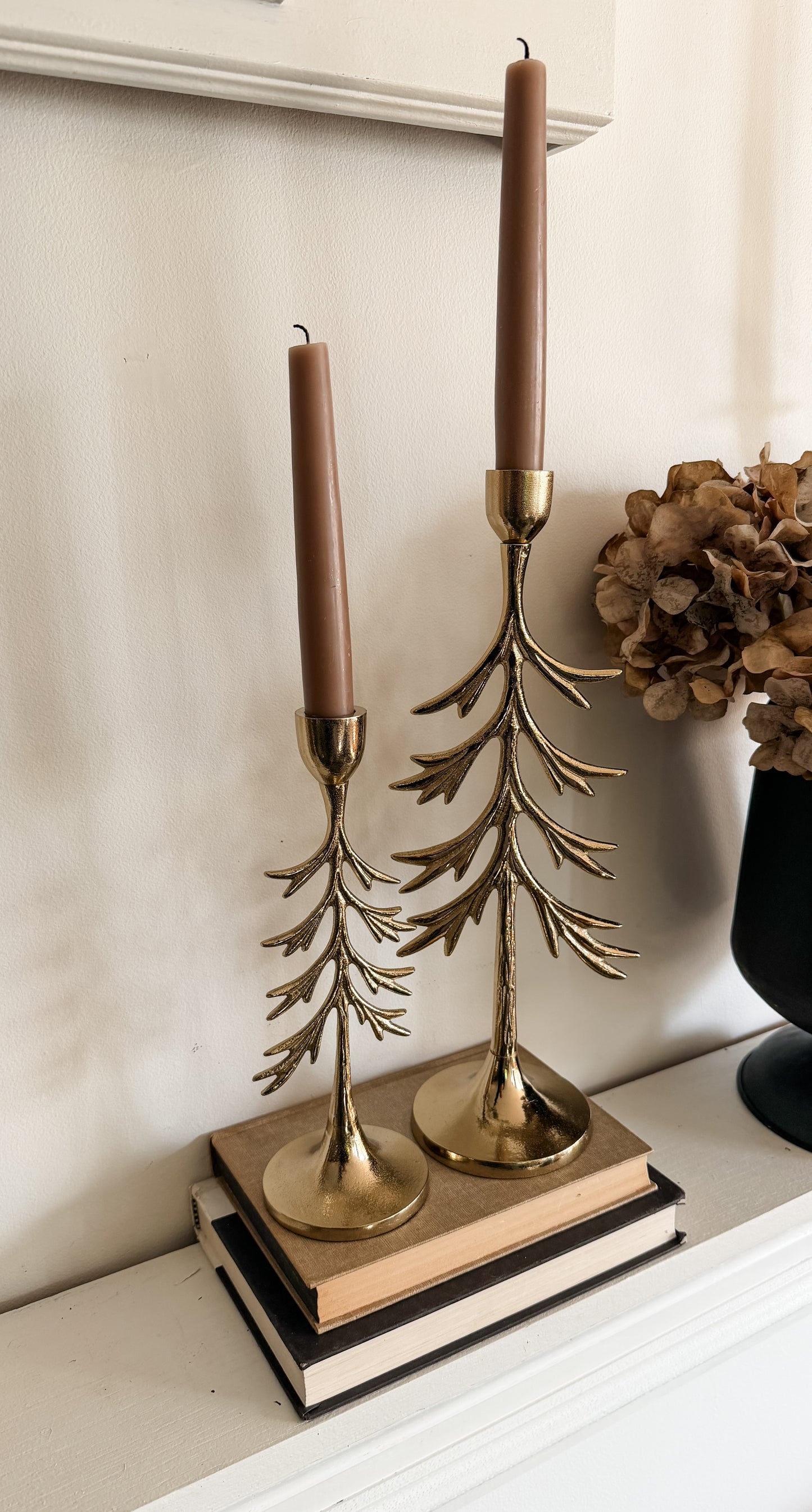 Aluminum Gold Tree Taper Set