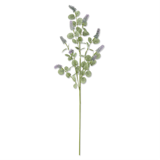 Lavender and Eucalyptus Stem