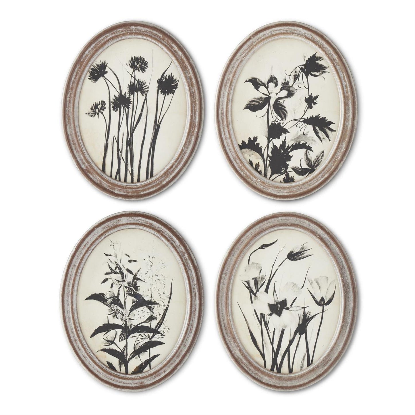 Oval Black & Cream Botanical Wall Art- Assorted Styles