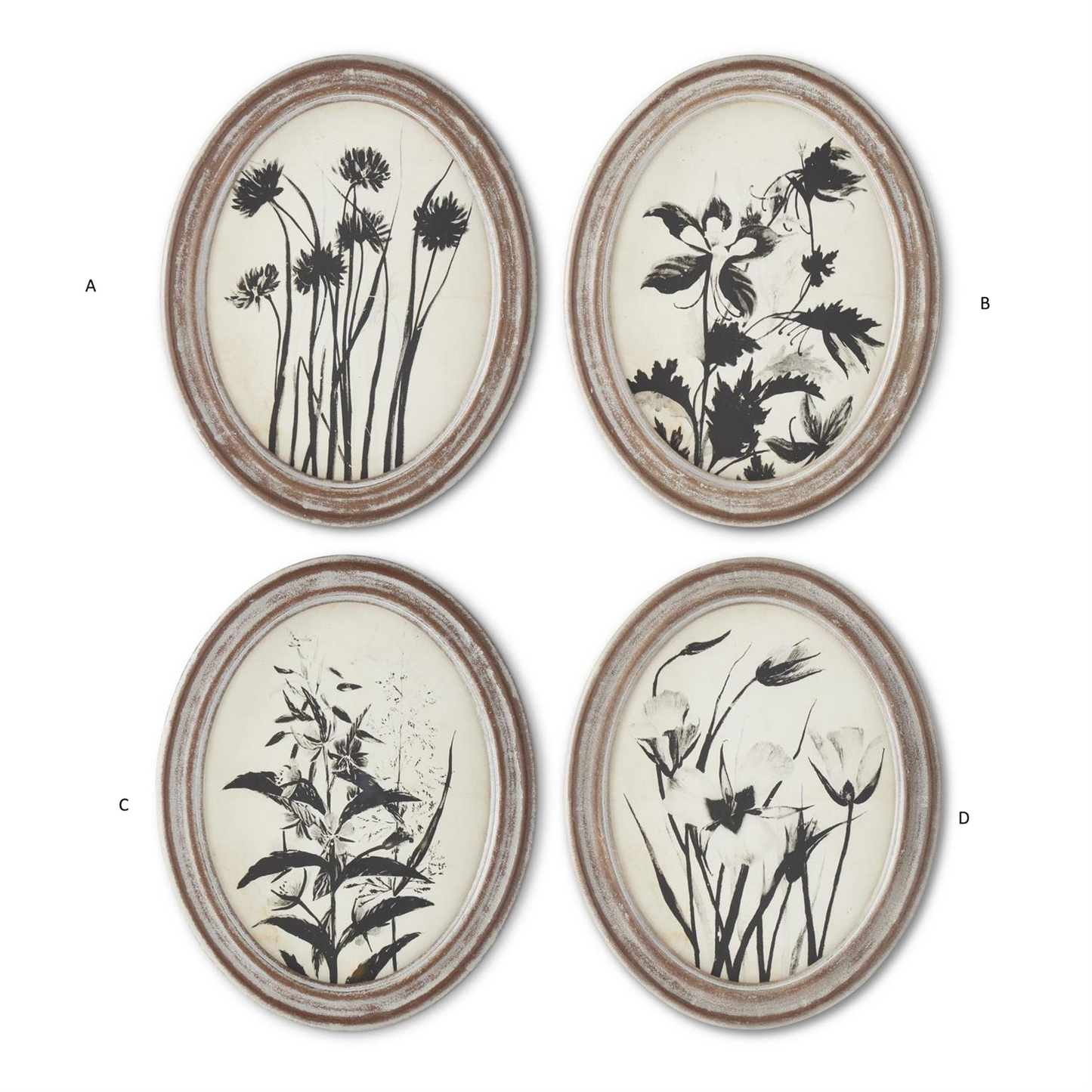 Oval Black & Cream Botanical Wall Art- Assorted Styles