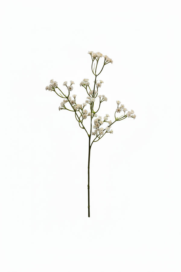 White Gypsophia (Baby's Breath) Stem