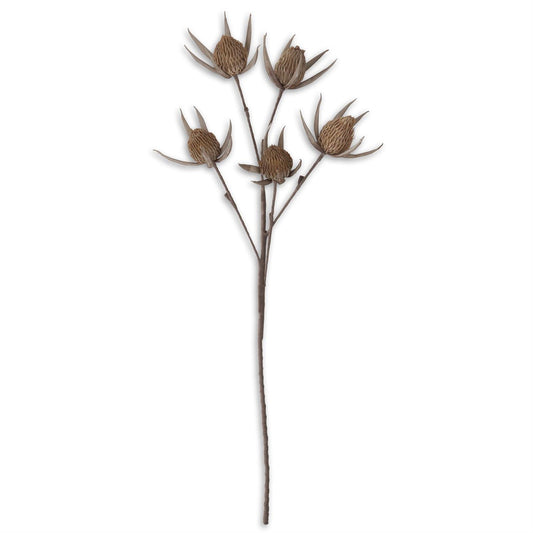 Eva Bloom Stem