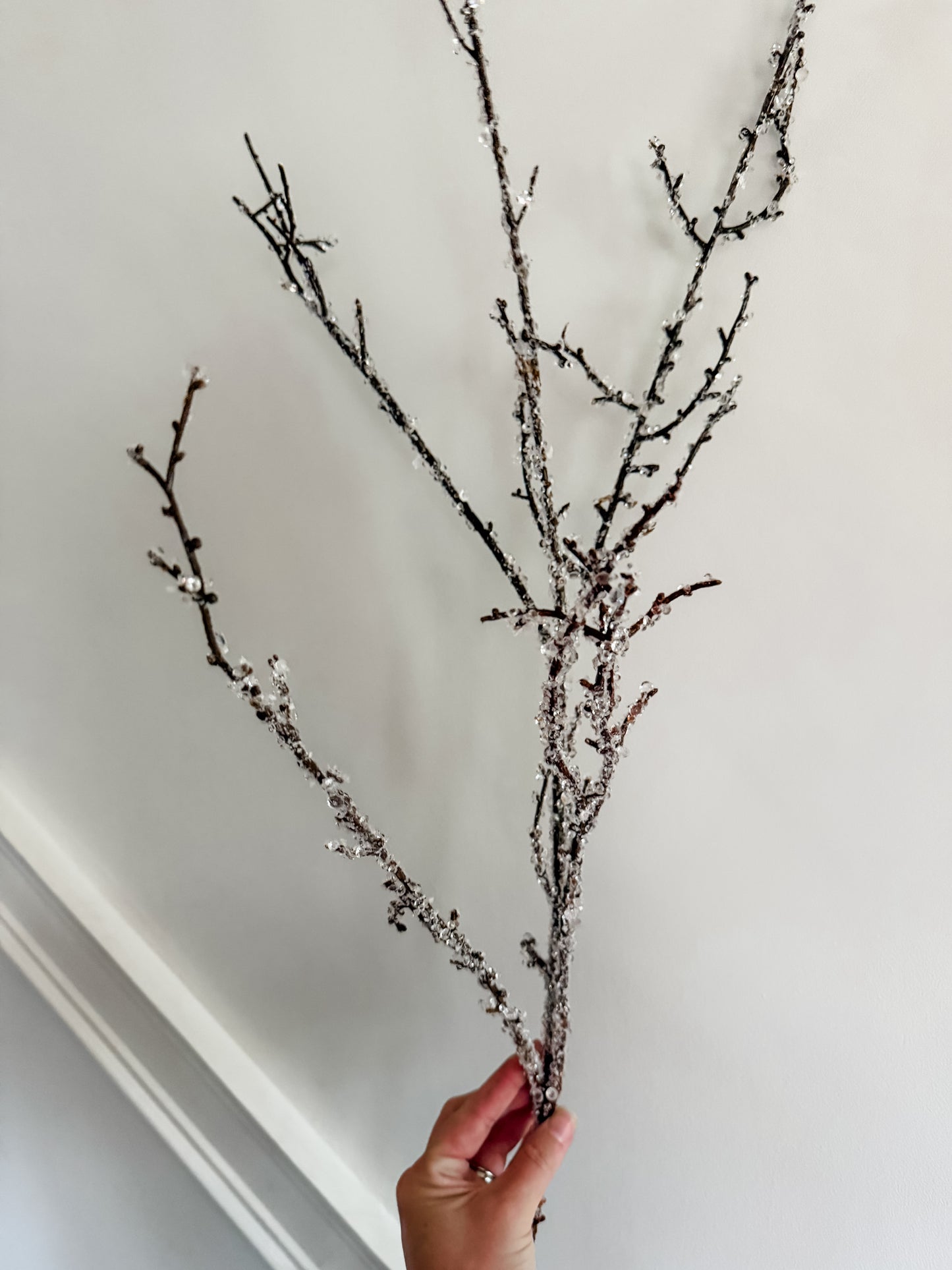 Iced Branch