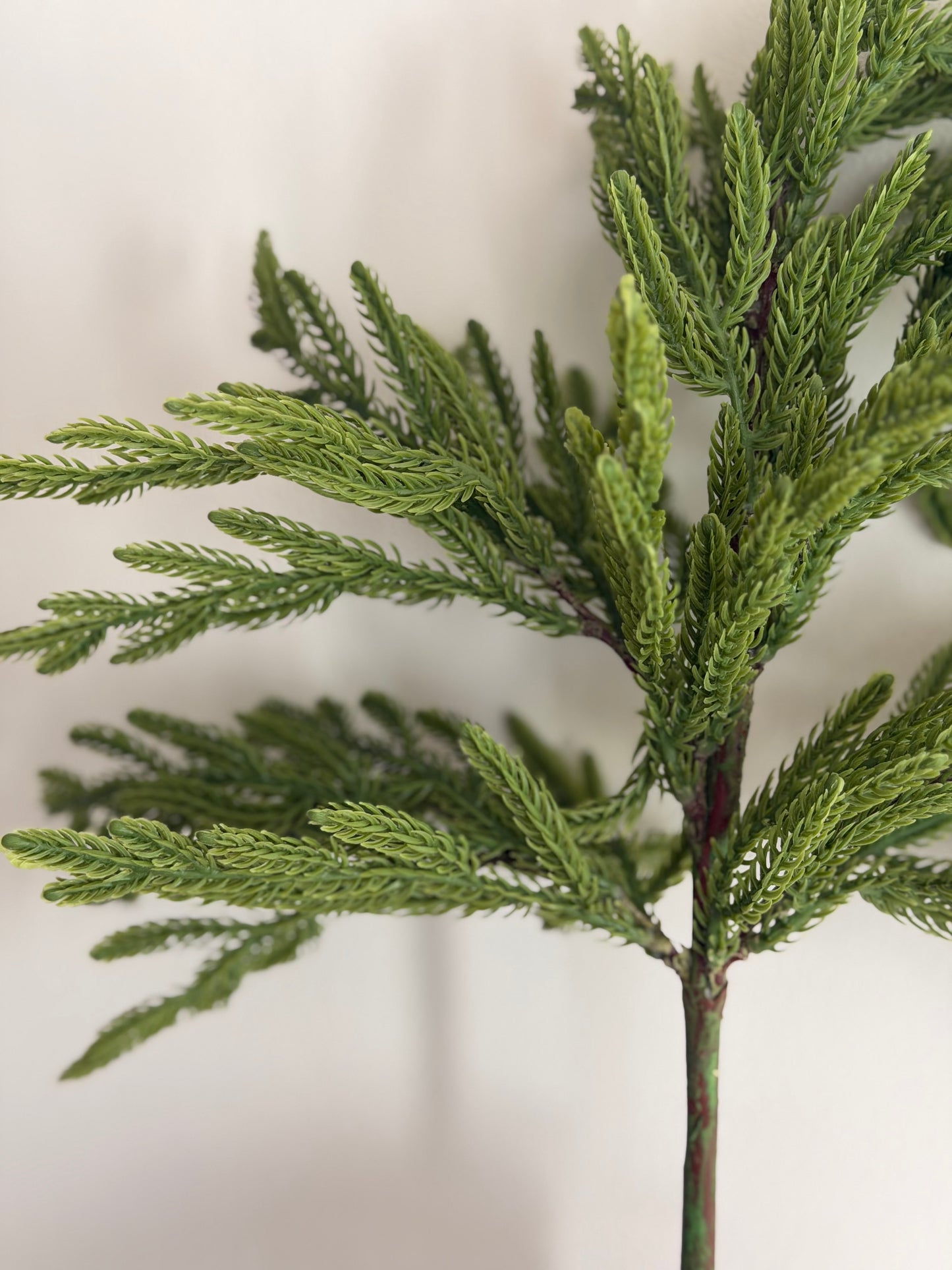 Real Touch Norfolk Island Pine Spray- 23"