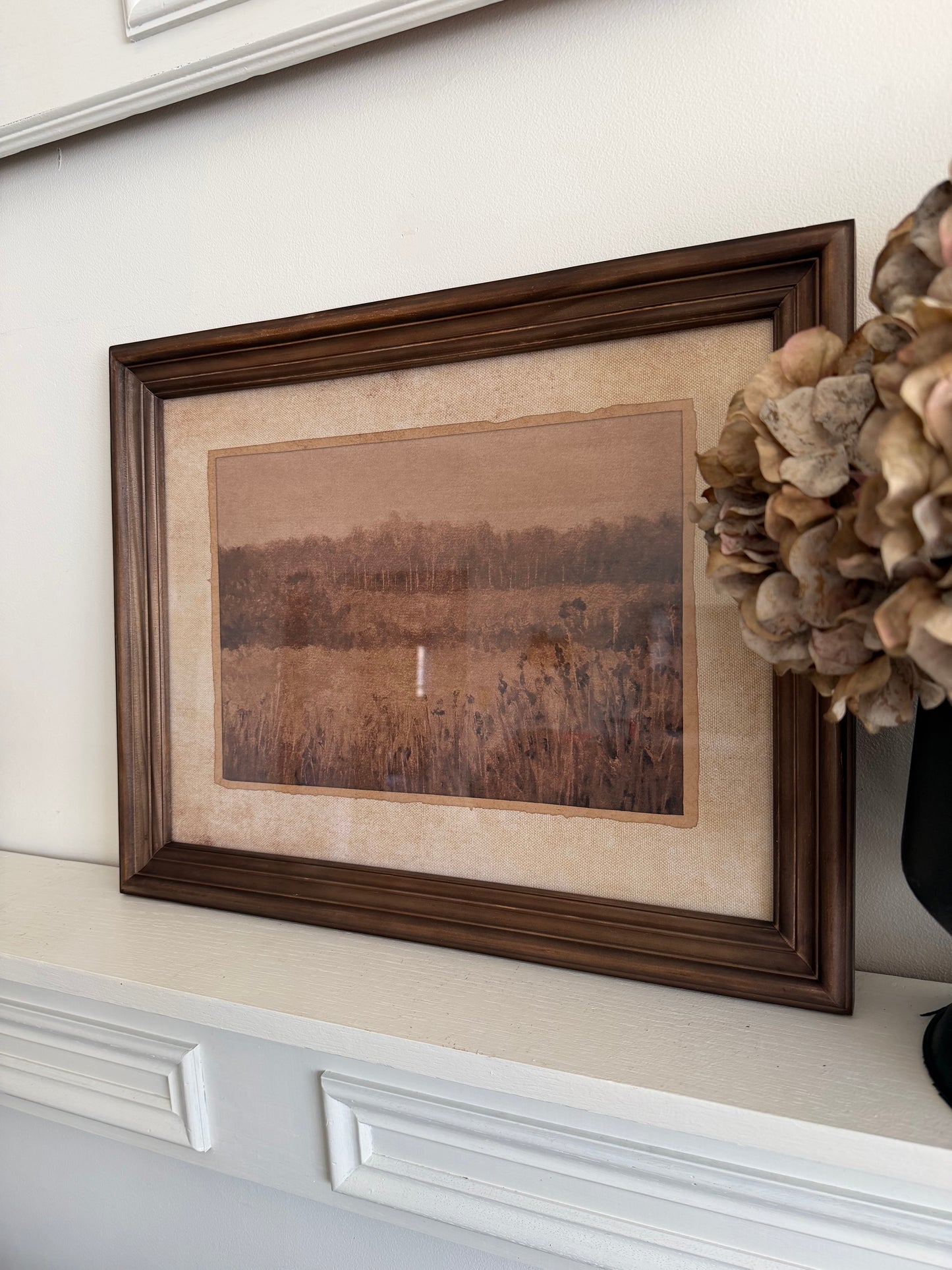 Brown Naturescape Framed Art- Assorted Styles