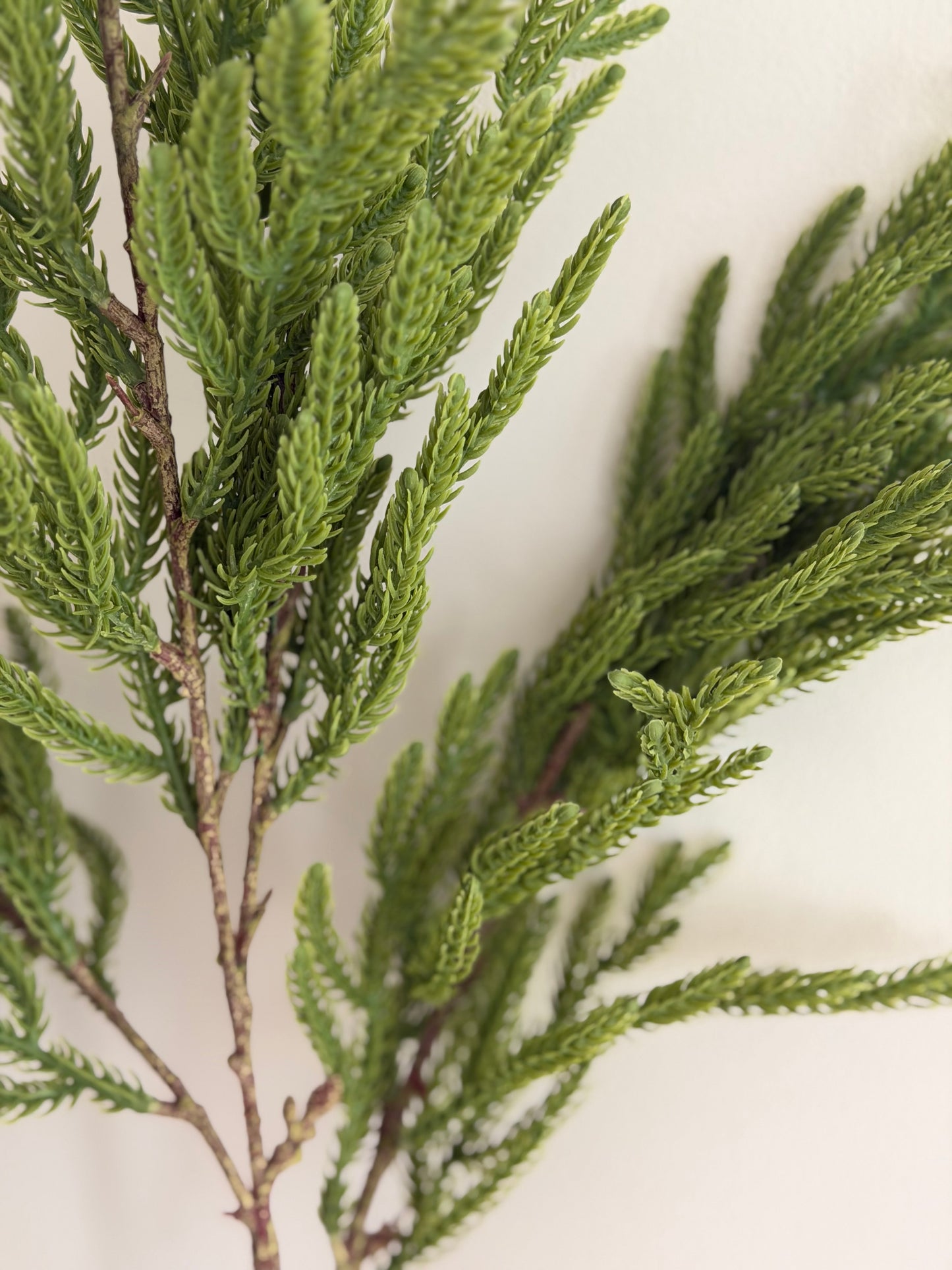 Real Touch Norfolk Island Pine Spray- 34"