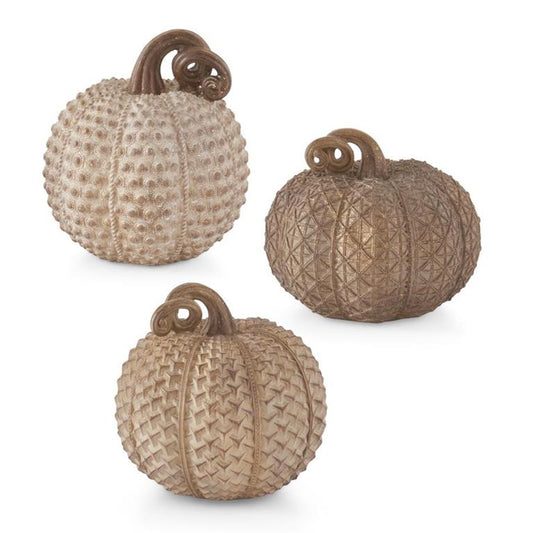 Neutral Textured Pumpkins Assorted