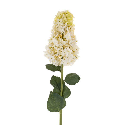 Cream Paniculata Hydrangea Stem