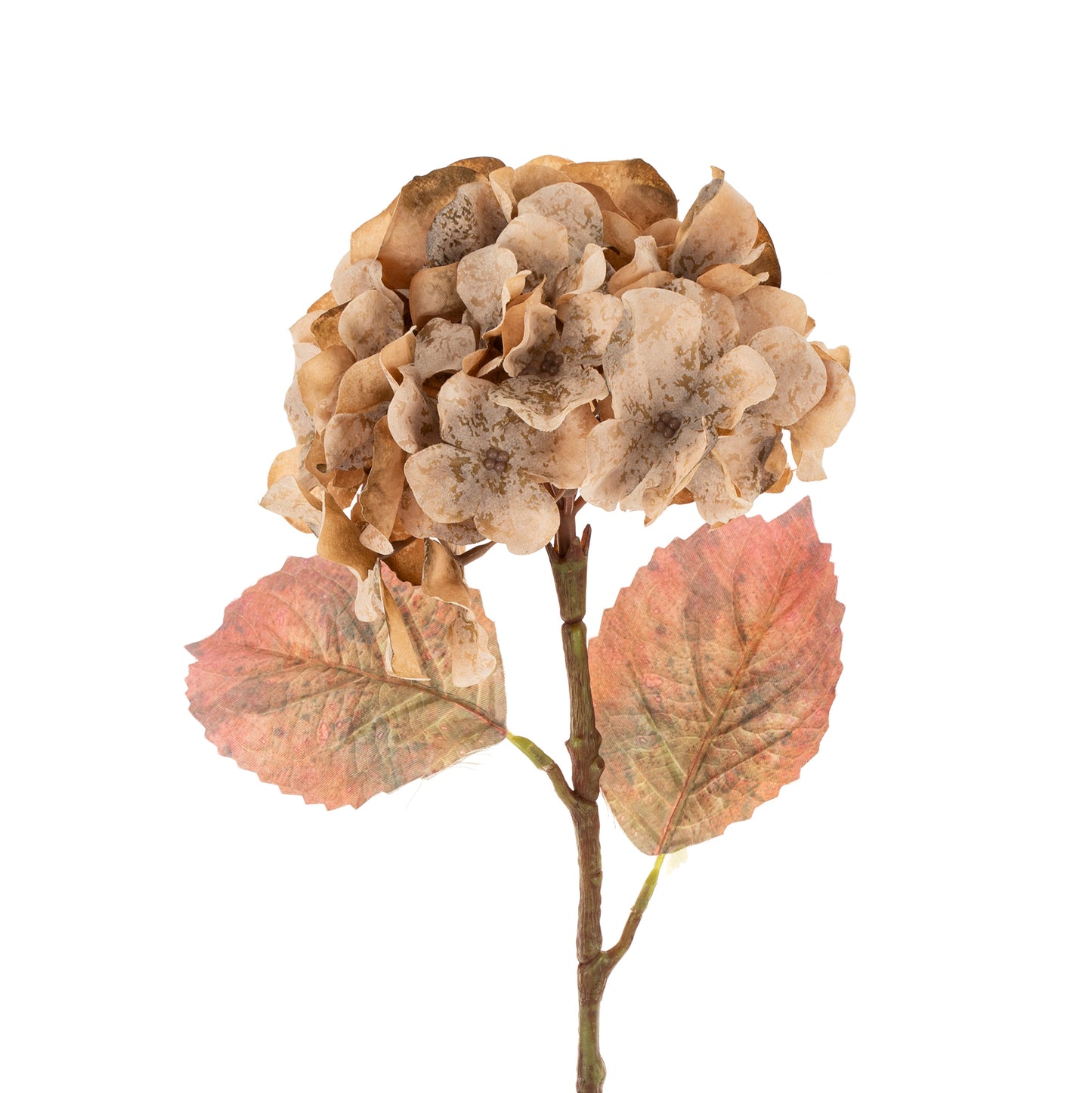 Faded Antique Peach Hydrangea Stem