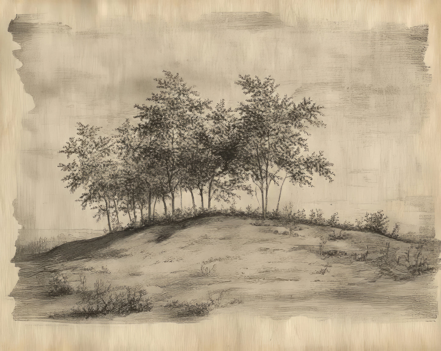 Treescape Sketch Print (no frame)