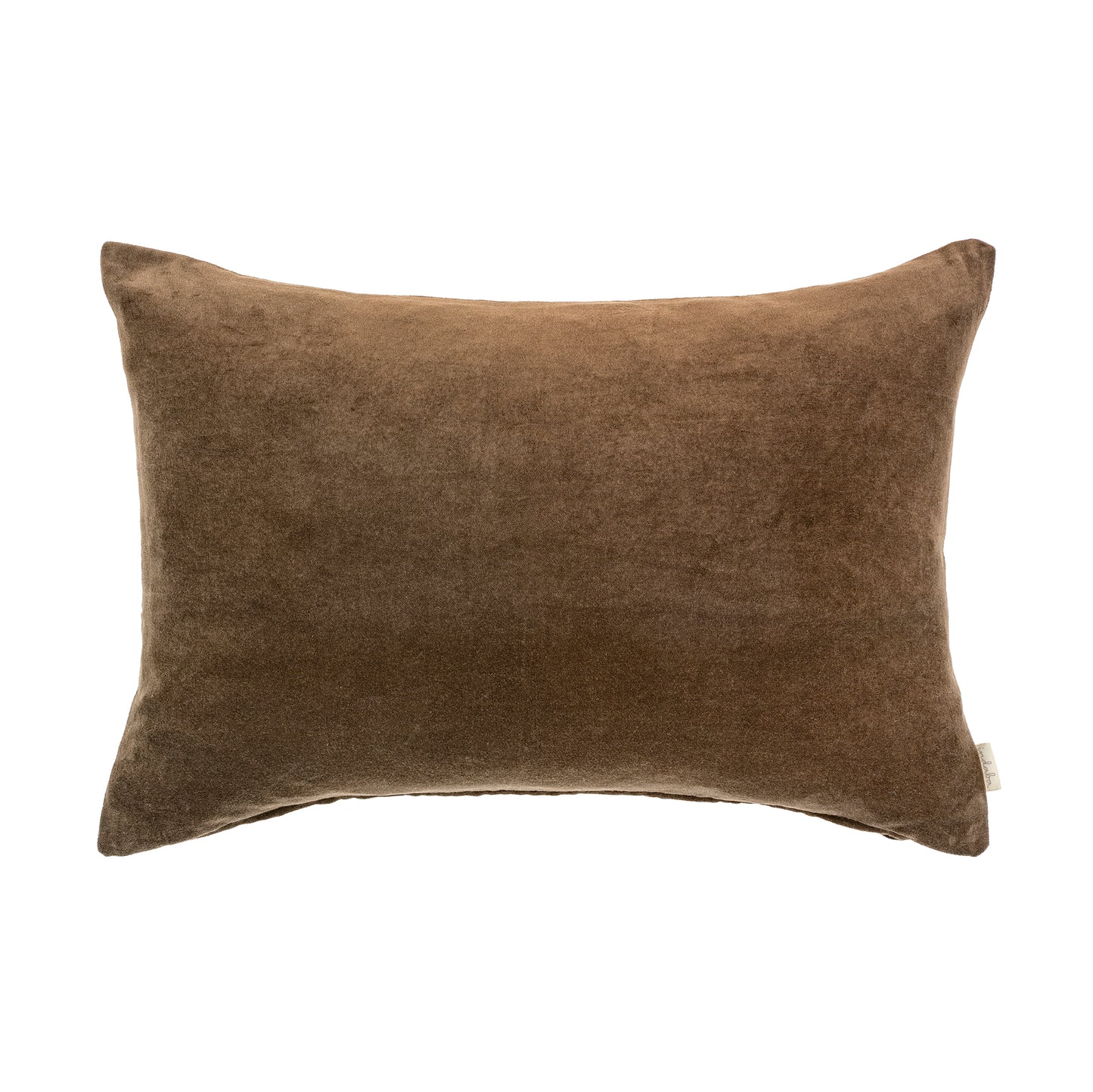 Clove Vera Velvet Lumbar Pillow