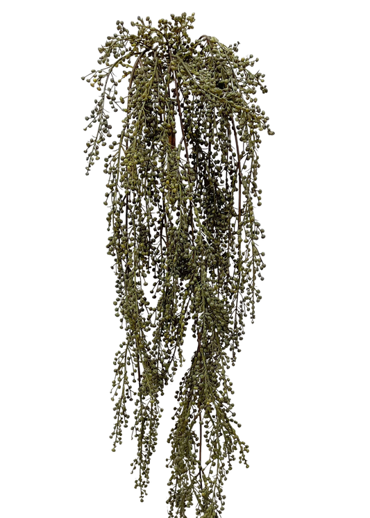 Hanging Pepperberries Vine