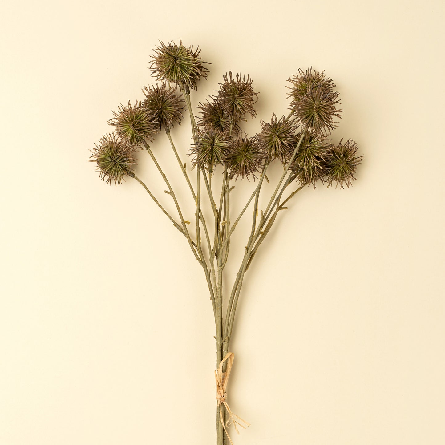 Green Chestnut Ball Bunch