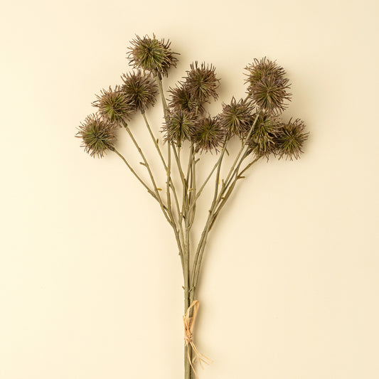 Green Chestnut Ball Bunch