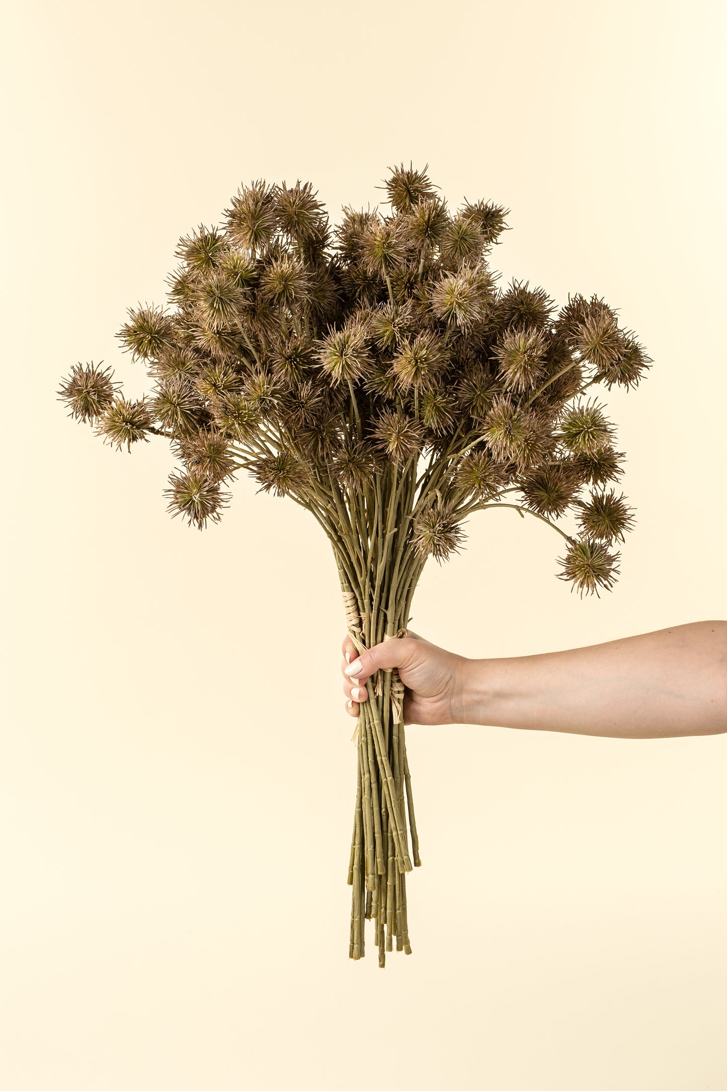 Green Chestnut Ball Bunch