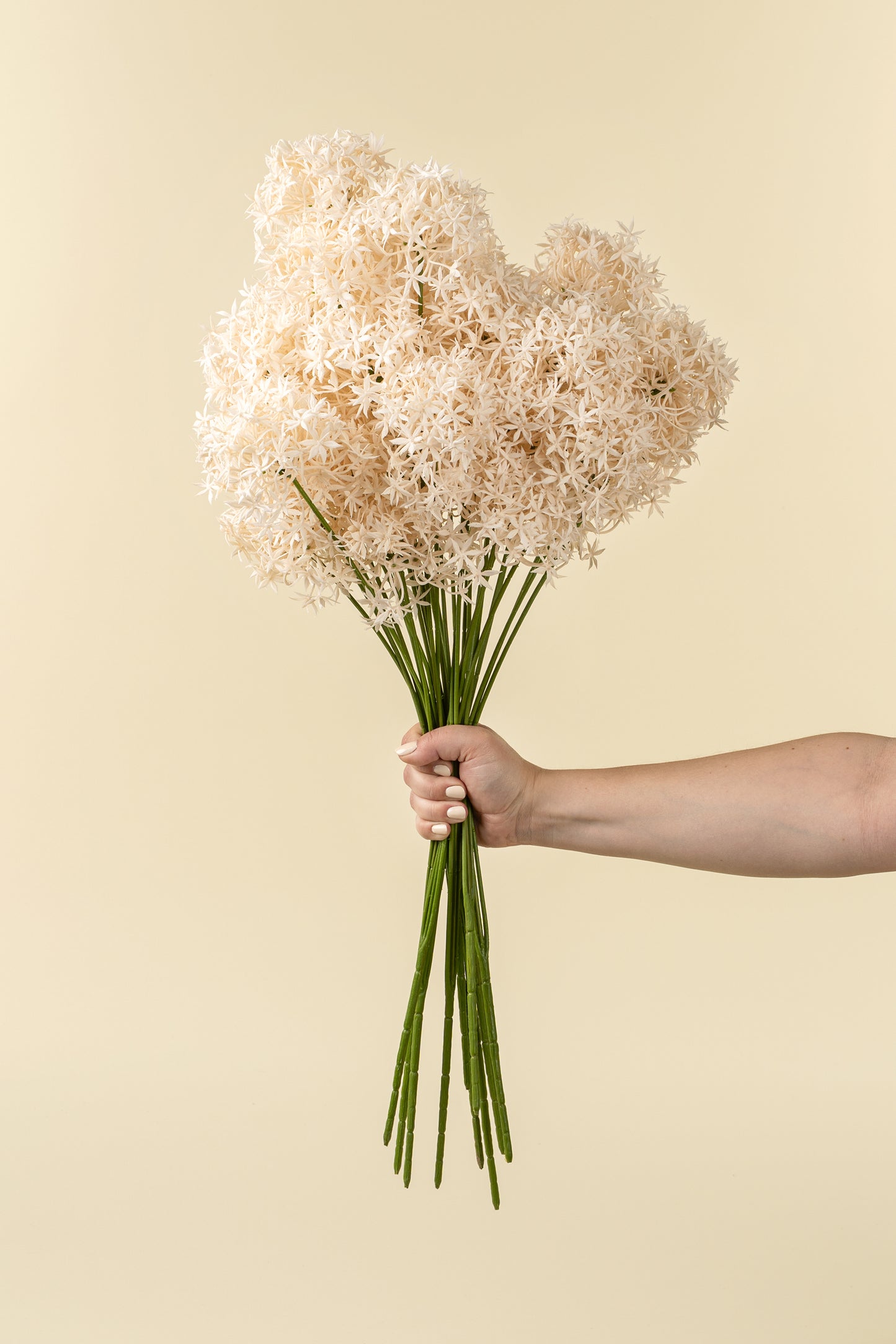 Champagne Allium Floral Stem