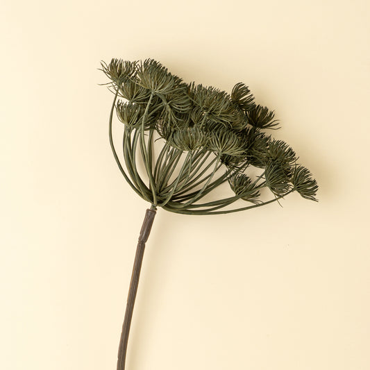 Green Wild Angelica Stem