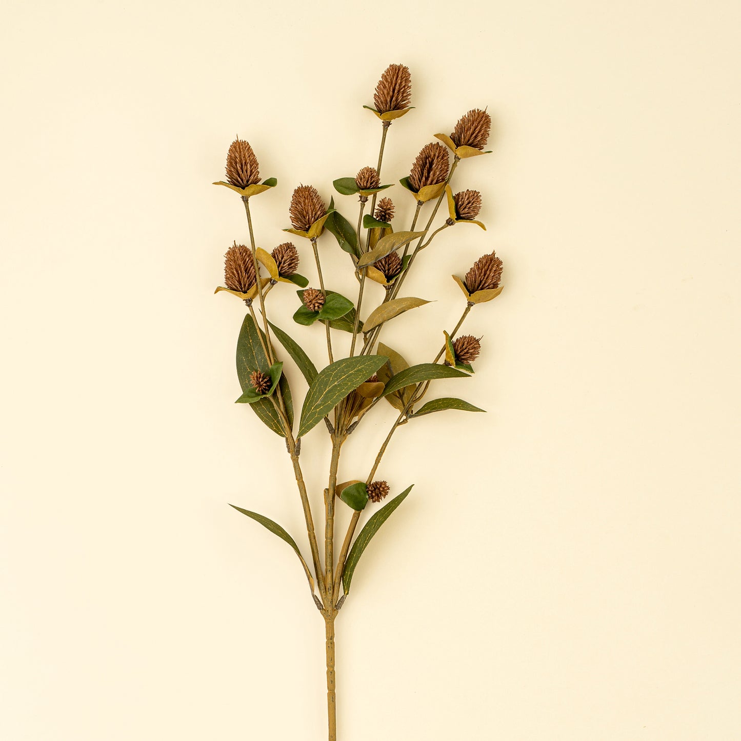 Brown Globe Amaranth Spray- Best Seller