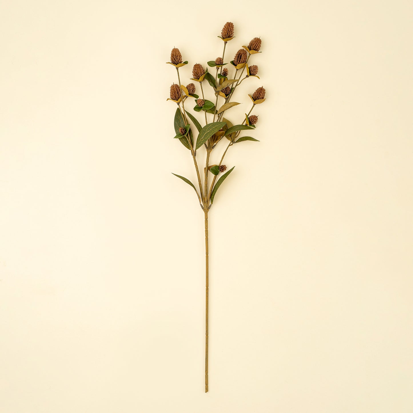 Brown Globe Amaranth Spray- Best Seller