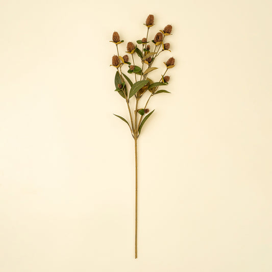 Brown Globe Amaranth Spray- Best Seller