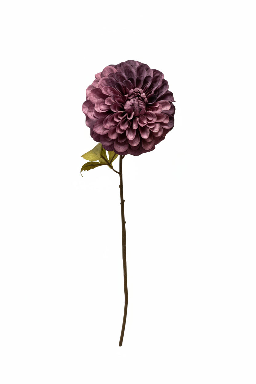 Dried Look Dahlia Stem- Purple