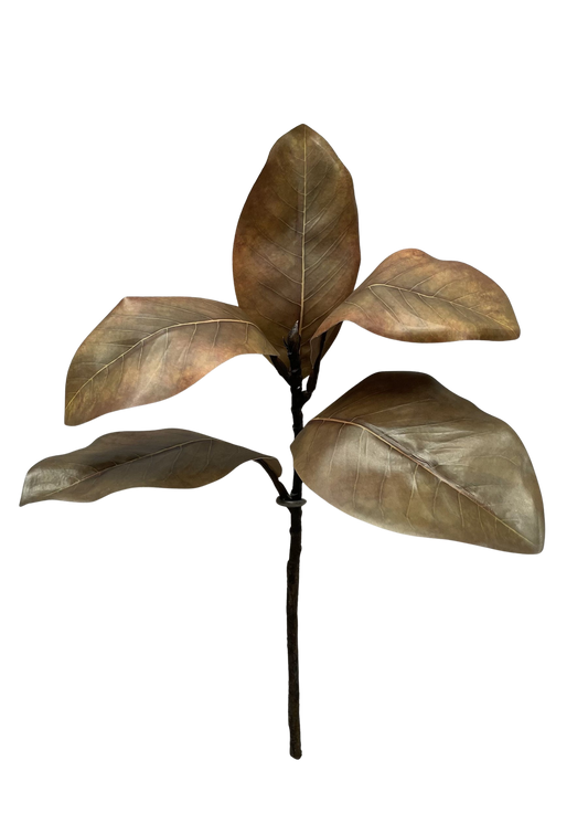 Olive Brown Magnolia Spray- 18"