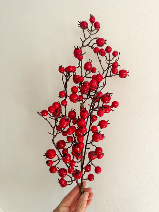 Outdoor Resistant Red Berry Spray