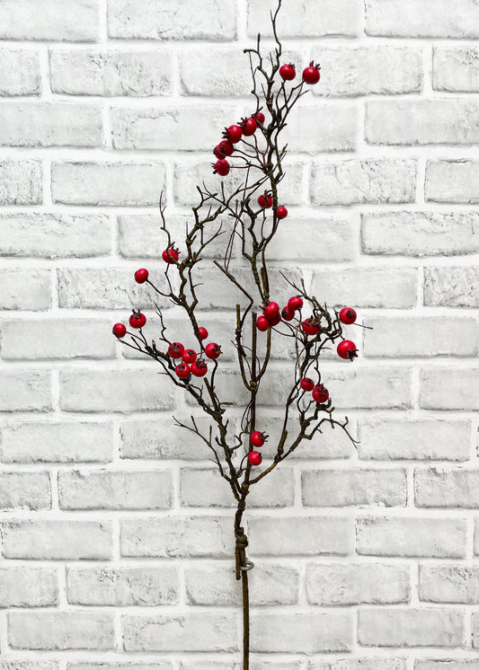 Weather Resistant Red Berry Matte Stem