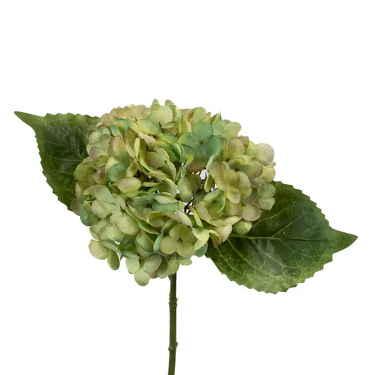 Faux Dried Look Hydrangea- Light Green