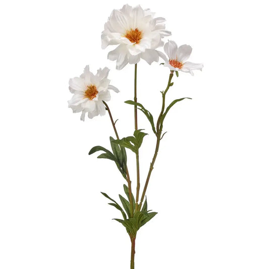 White Cosmo Spray