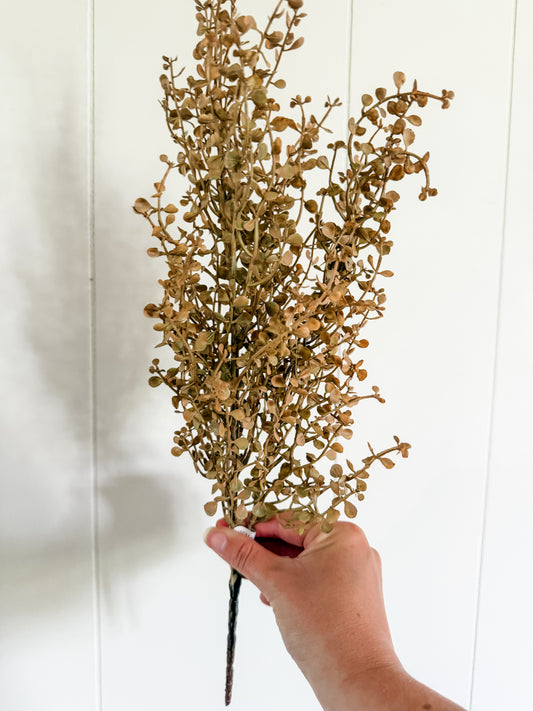 Fall Cream Baby Tears Bush-20"
