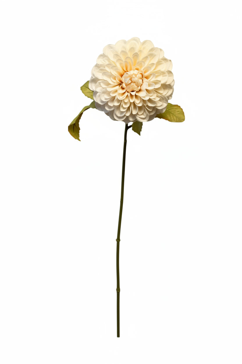 Dried Look Dahlia Stem- Cream