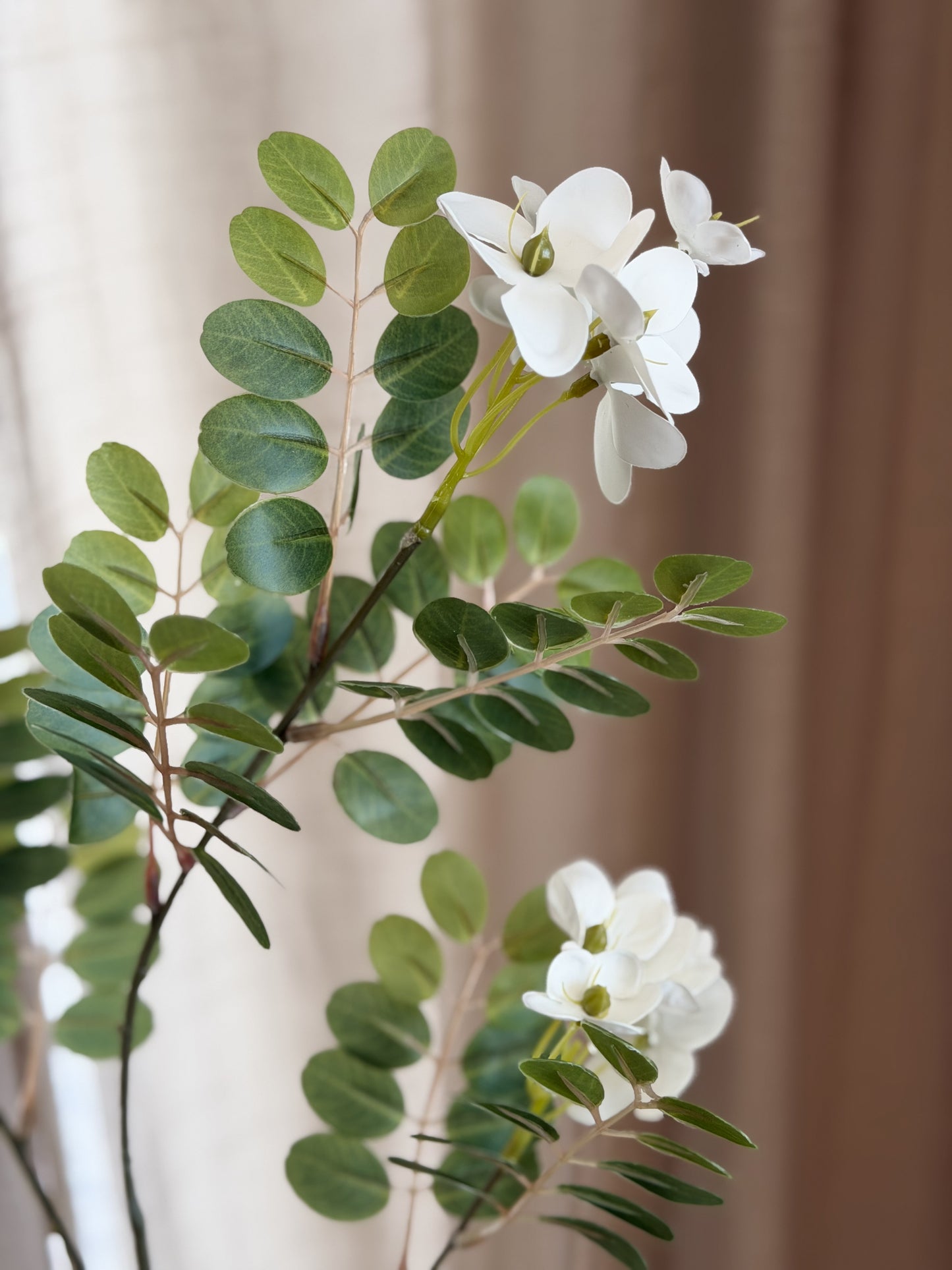 Locust Flower Branch
