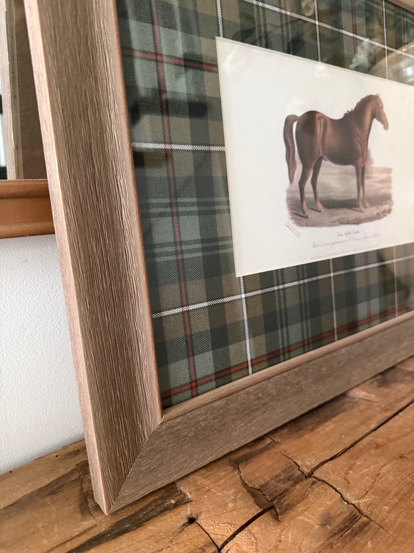 Vintage Horse Brown & Green Tartan Matted Artwork- 16" X 12"