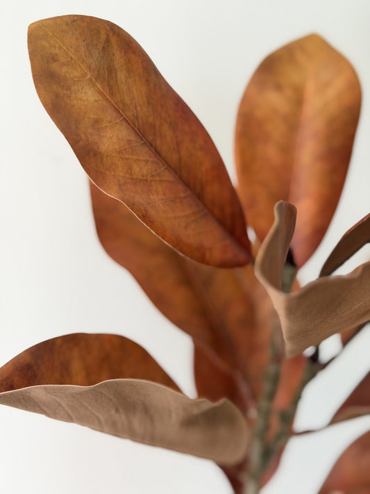 Brown Magnolia Leaf Spray- 22"