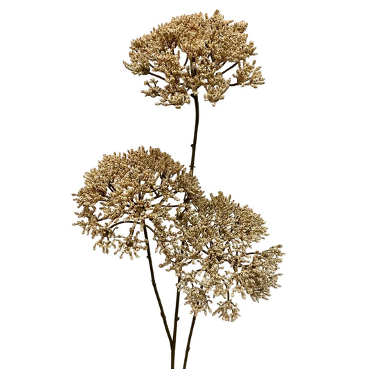 Beige Queen's Anne Lace Spray