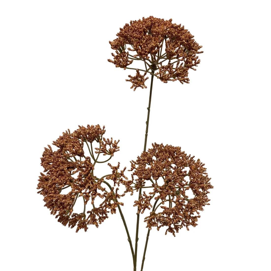 Brown Queen's Anne Lace Spray