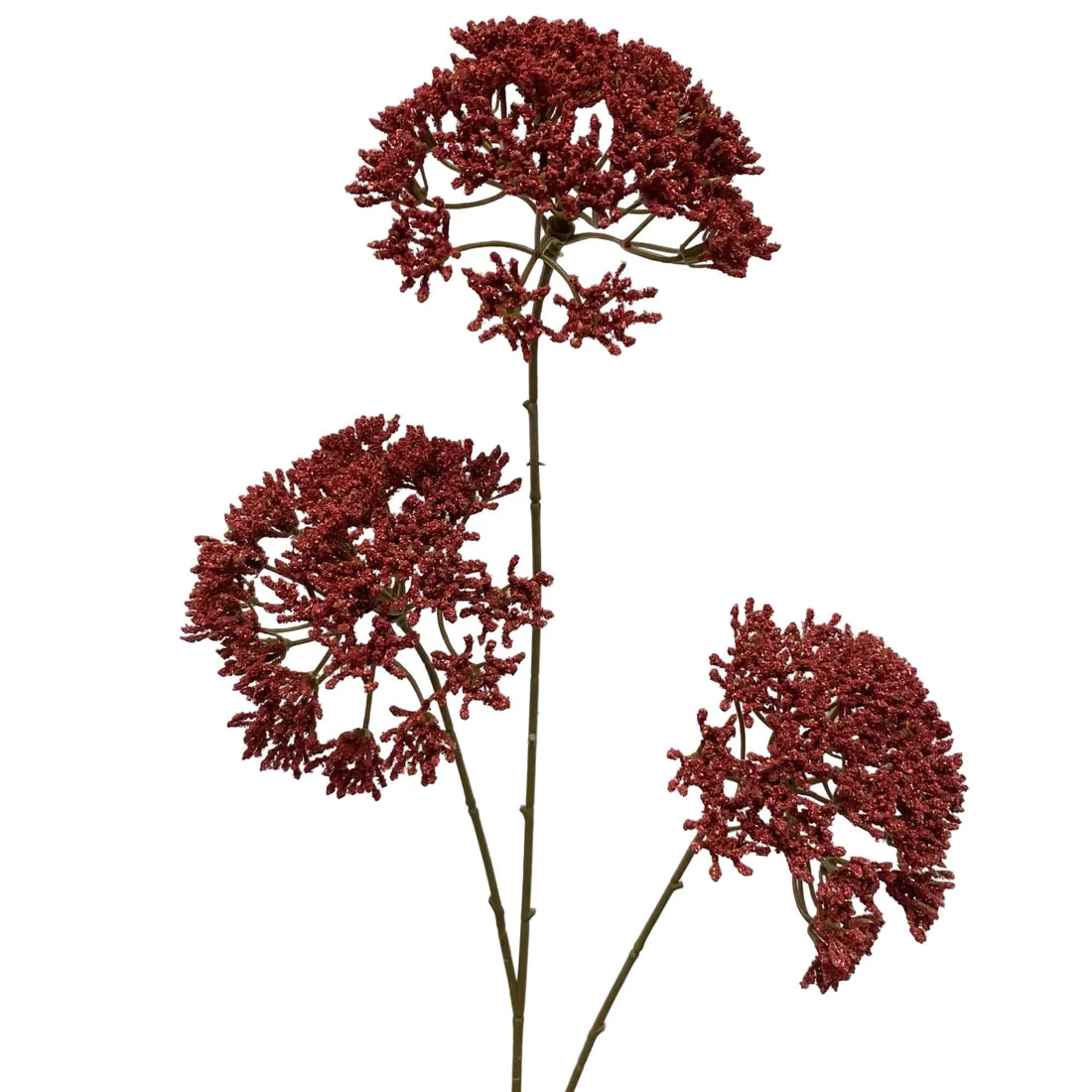 Burgundy Queen's Anne Lace Spray