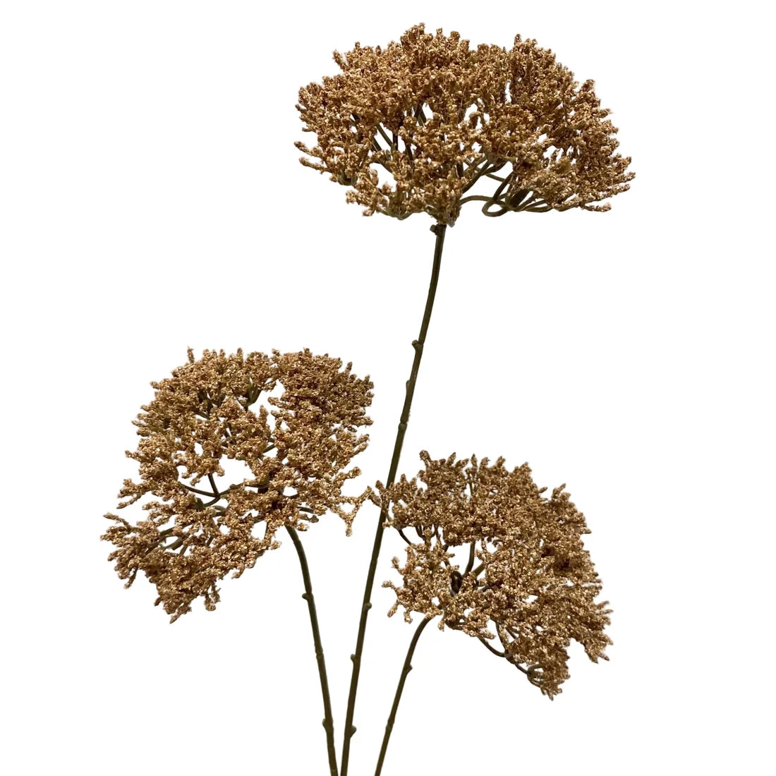 Light Brown Queen's Anne Lace Spray