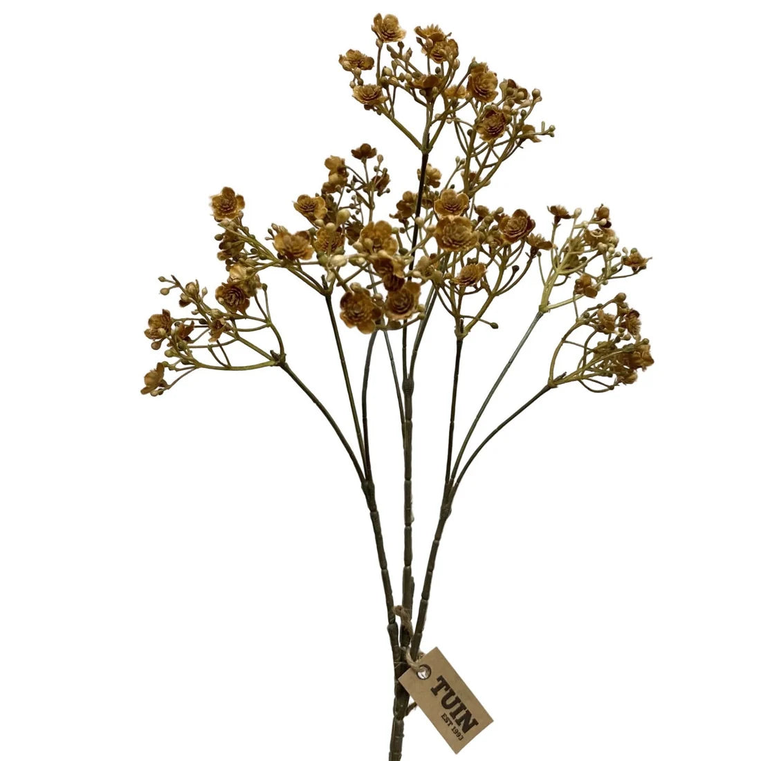 Brown Baby's Breath Spray