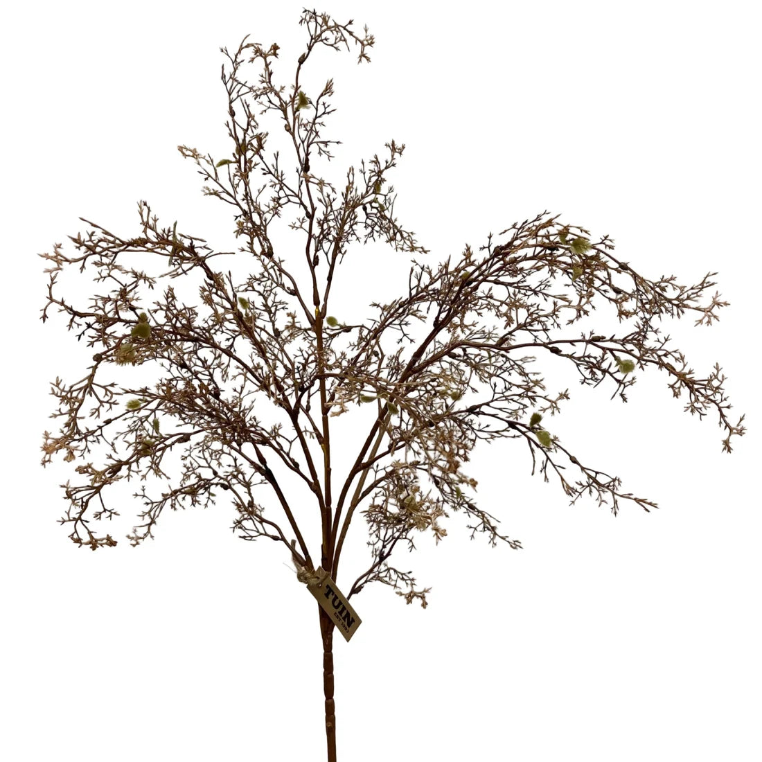 Weeping Twig Spray