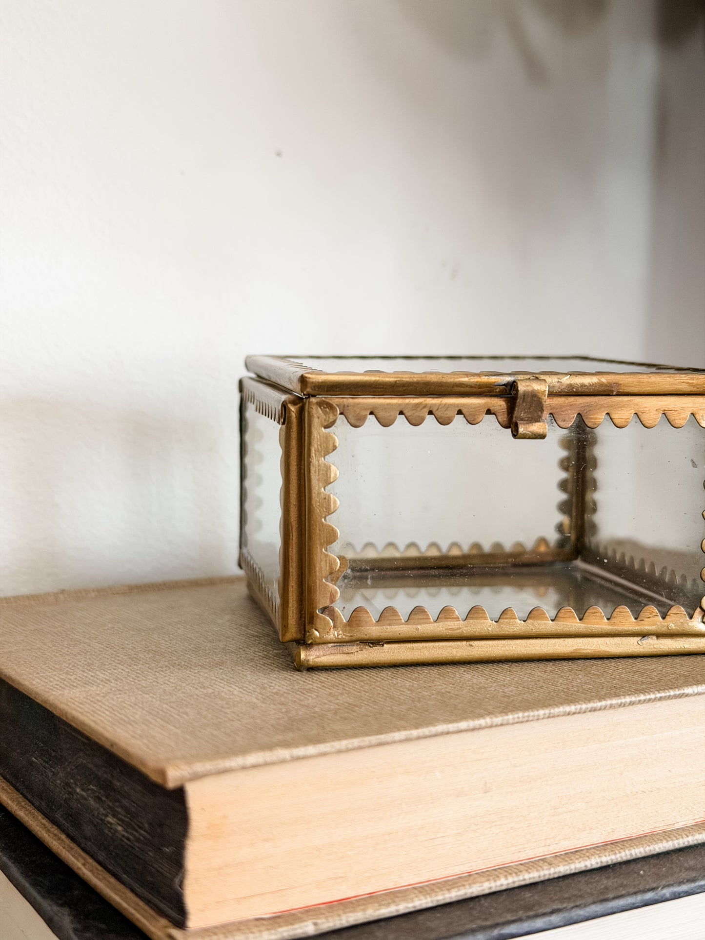 Mini Brass & Glass Scallop Display Box