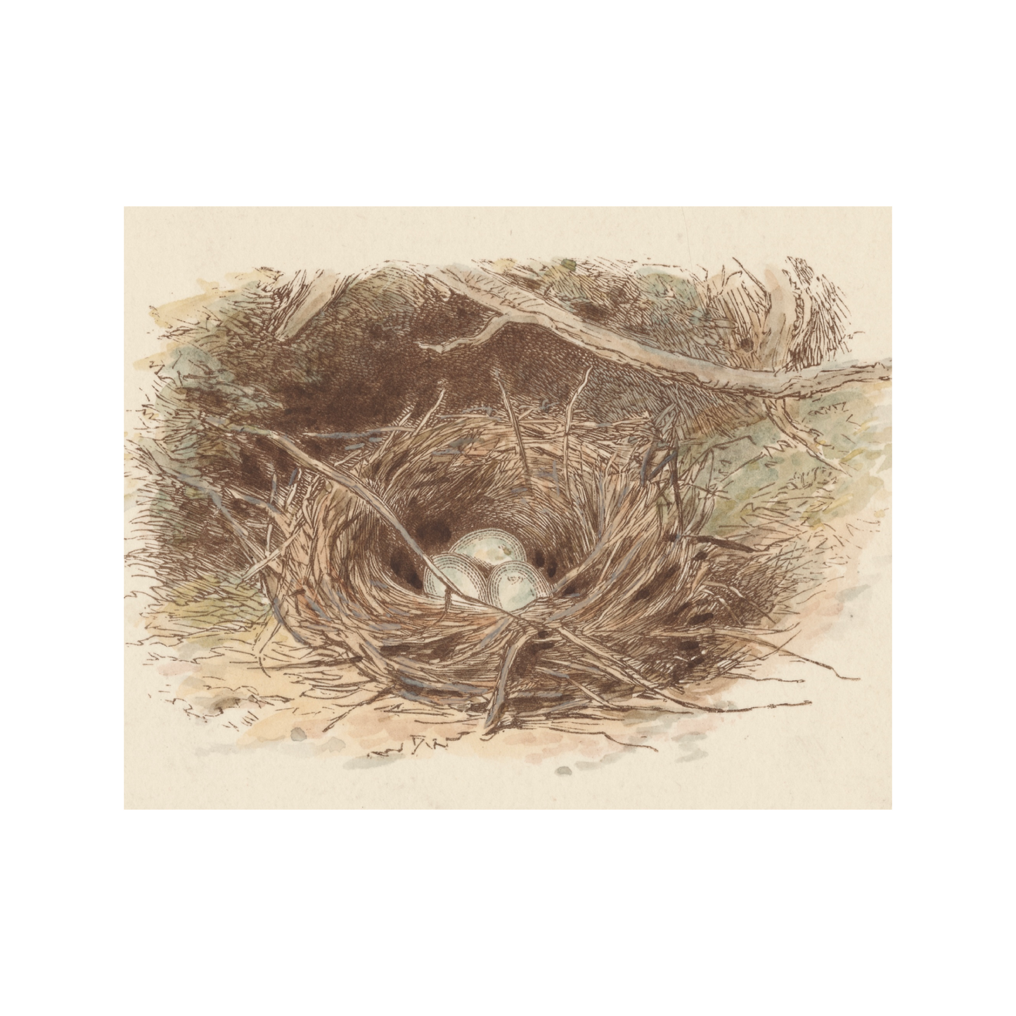 The Nest Vintage Art Print (no frame)