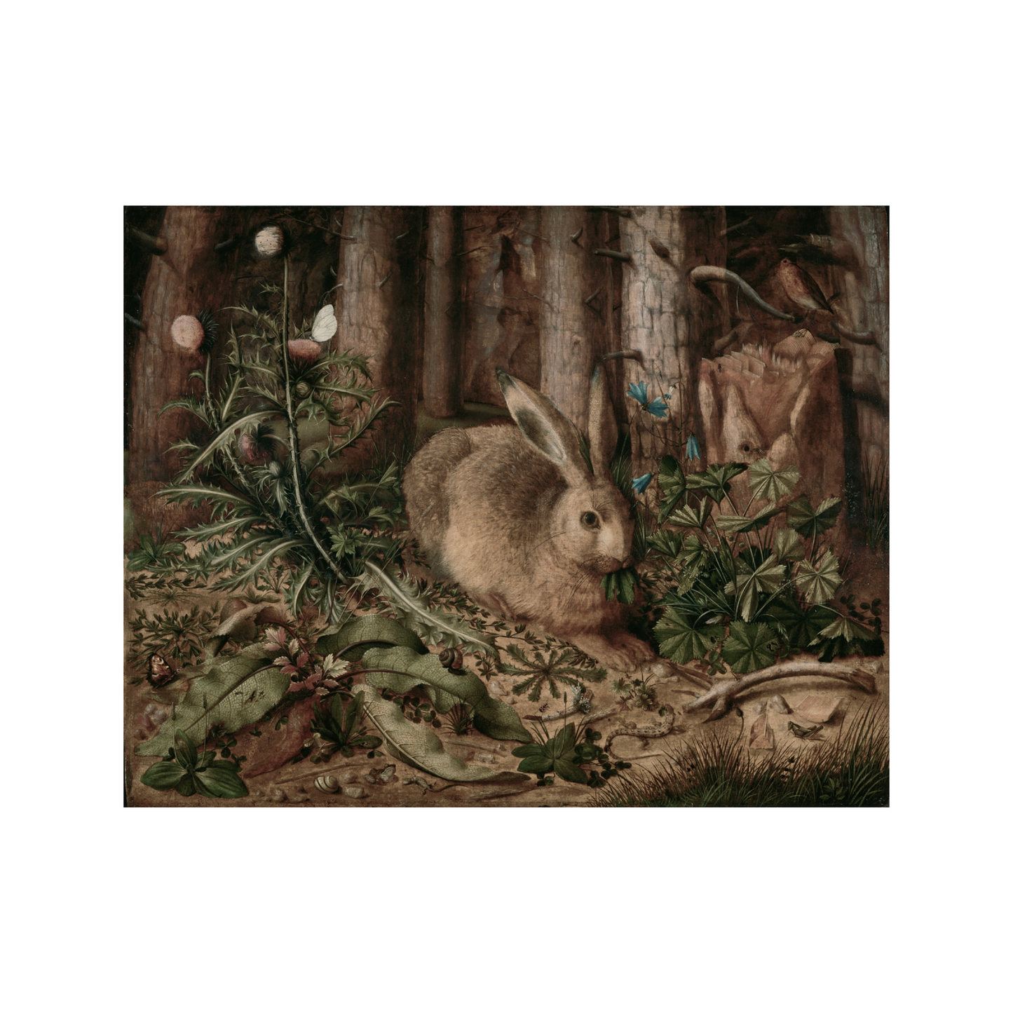 A Hare in the Forest Vintage Art Print (no frame)