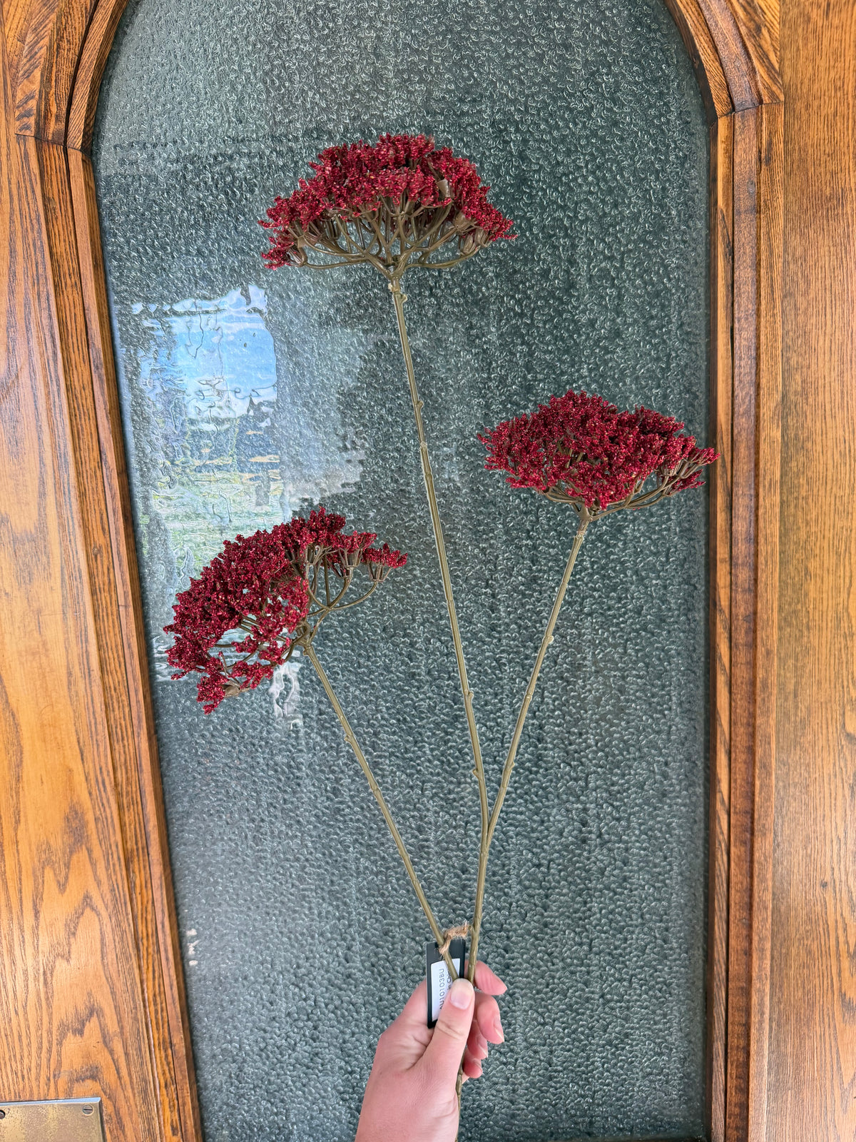 Burgundy Queen's Anne Lace Spray